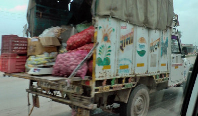 Gemüsetransporter